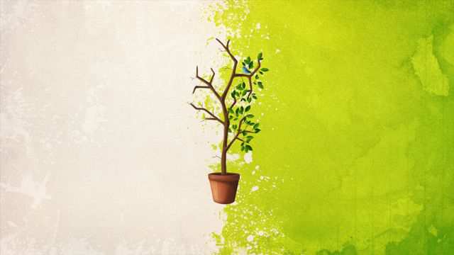 Spring Desktop Wallpaper Springtime