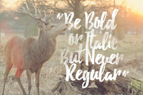 15+ Best Free Brush Fonts for Designers