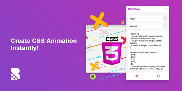  Chrome Extension Web Designer Developer