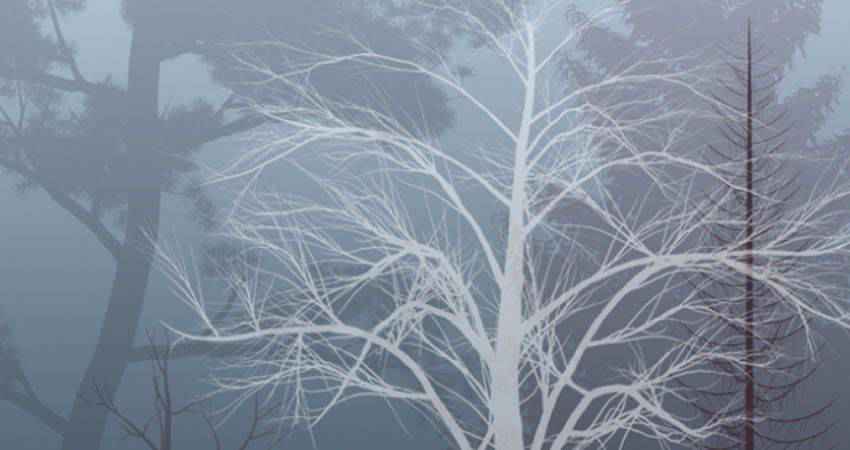 Fall and Winter Trees free photoshop nature brush sets