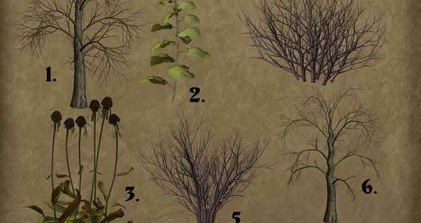 dead free photoshop nature brush sets