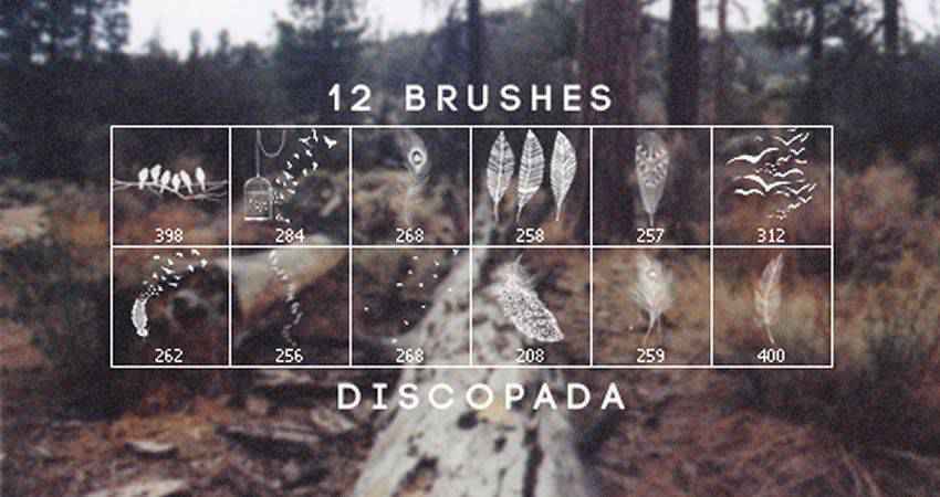Feathers and Birds free photoshop nature brush sets