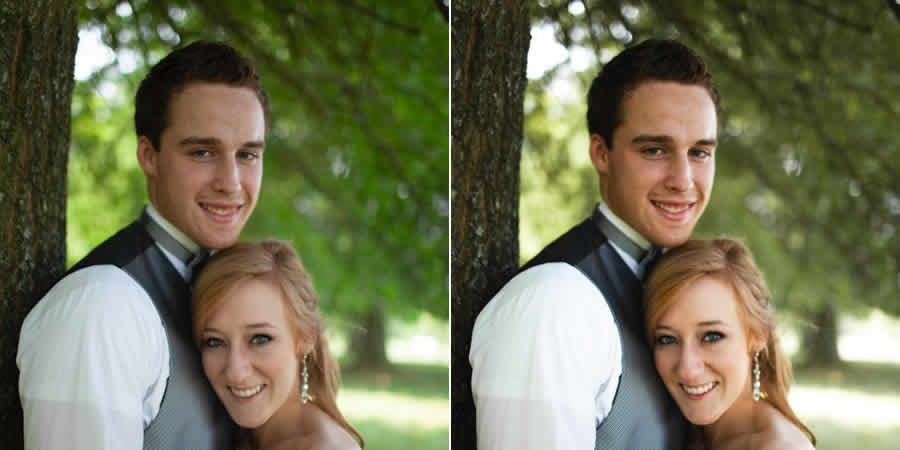  portrait free lightroom preset