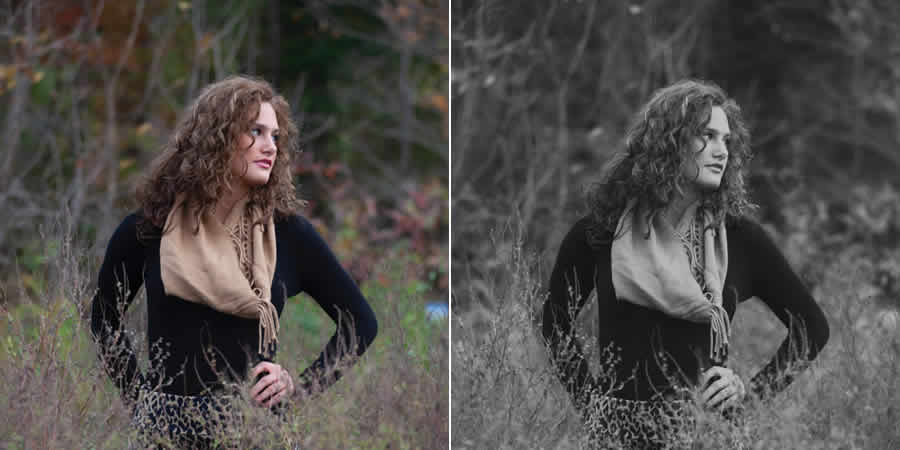  portrait free lightroom preset