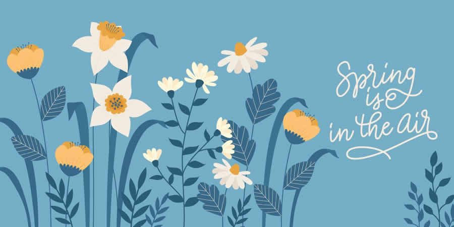 Daffodil & Daisy Vector Background spring pastel vector template
