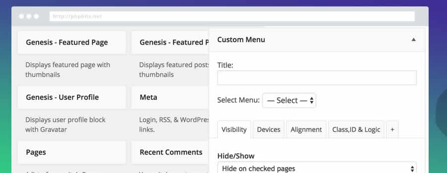 Widget Options