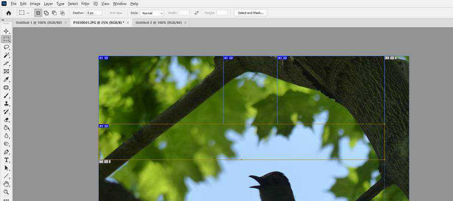 A sliced image in Photoshop.