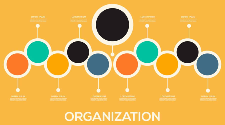 Organizational Chart Illustration