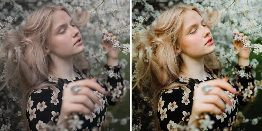 Kinsfolk 1888 Lightroom Presets Analogue Film Free to Download