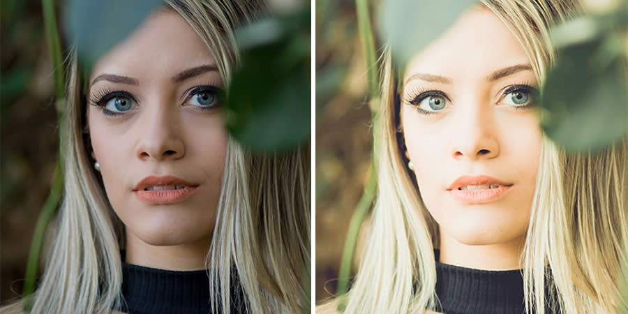 Kodak Funtime Retro Film Lightroom Preset Analogue Film Free to Download