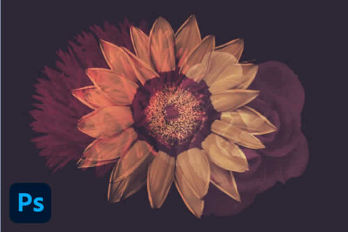 The 20+ Best Free Nature Brushes for Photoshop