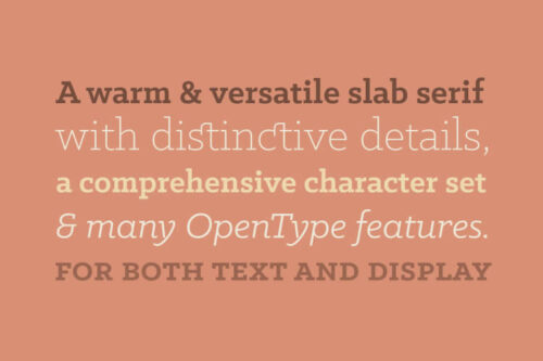 20+ Best Free Slab Serif Fonts for Creatives
