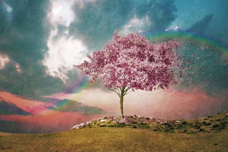 20 Inspiring Desktop Wallpapers for Spring