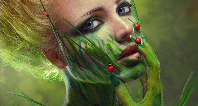 Ladybird fantasy photo