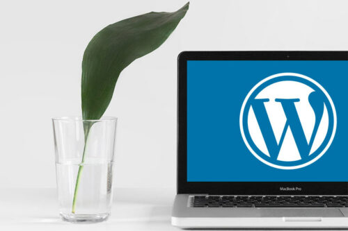 How to Build a Stable & Sustainable WordPress Websites