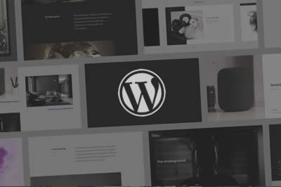 WordPress Themes