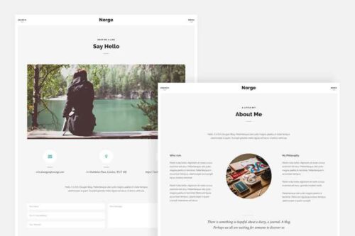 20+ Best Free WordPress Personal Blog Themes