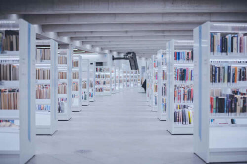 How to Organize Content within WordPress